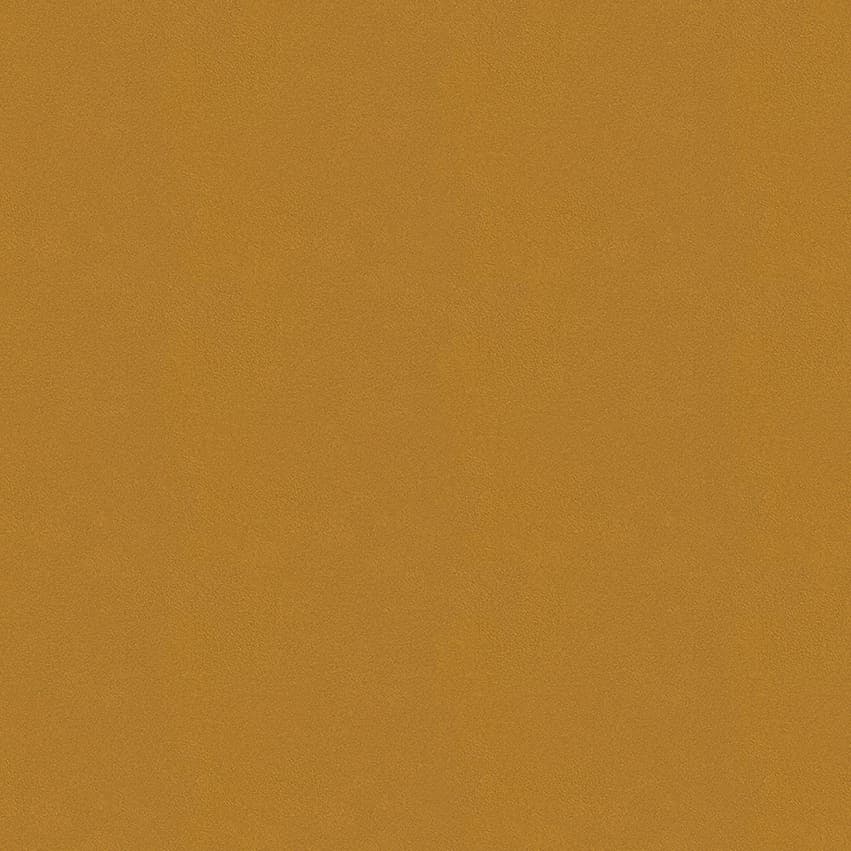 colour-choice_1056051_lowres