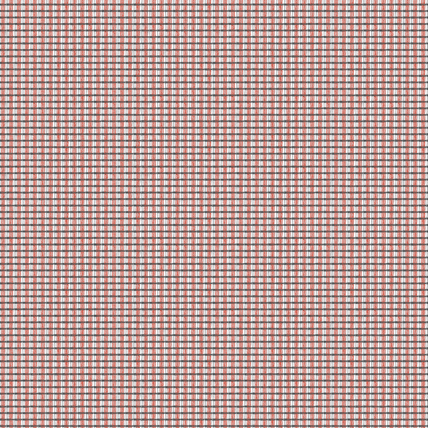 teon_808502_lowres
