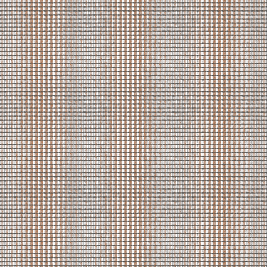 teon_808505_lowres