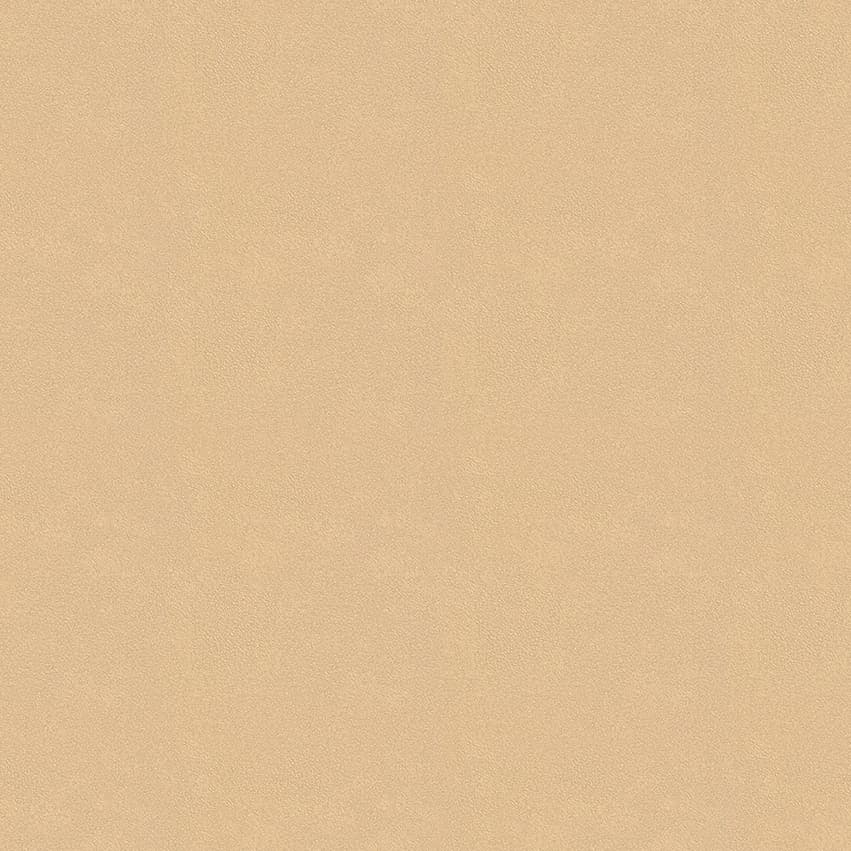 colour-choice_1056057_lowres