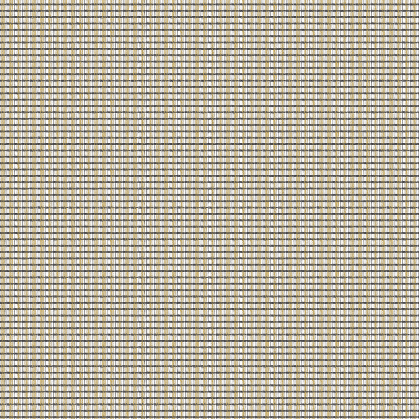 teon_808511_lowres