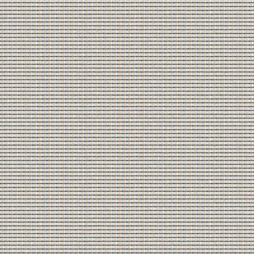 teon_808504_lowres