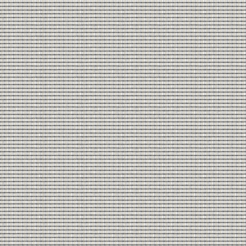 teon_808510_lowres
