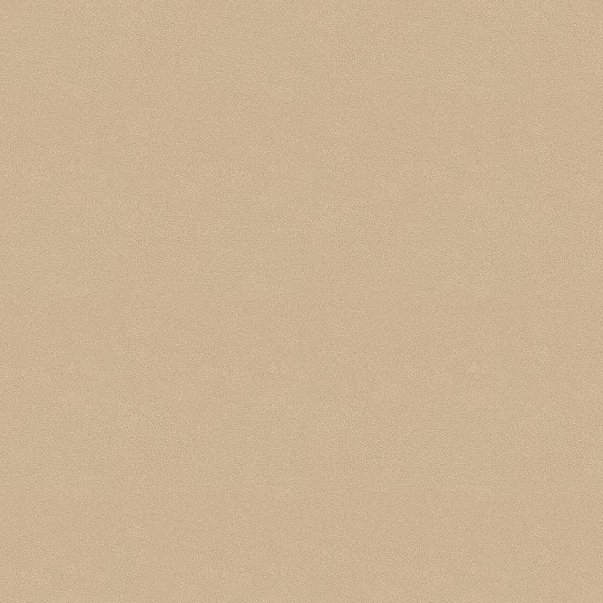 colour-choice_1056064_lowres