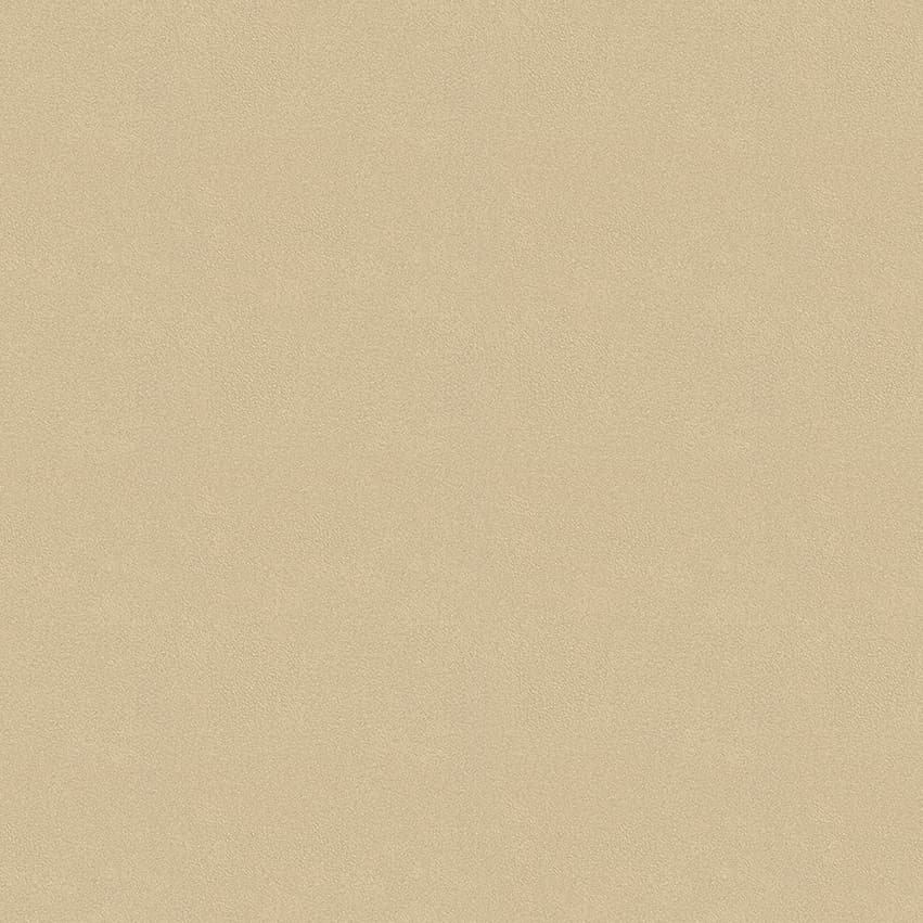 colour-choice_1056084_lowres