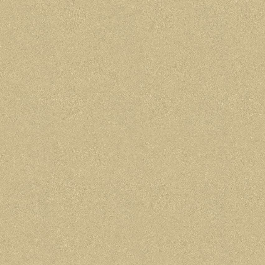 colour-choice_1056089_lowres
