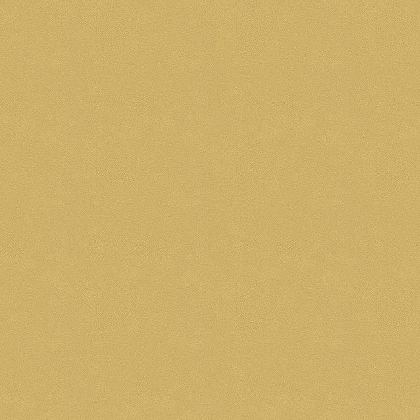 colour-choice_1056090_lowres
