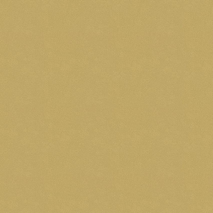 colour-choice_1056091_lowres
