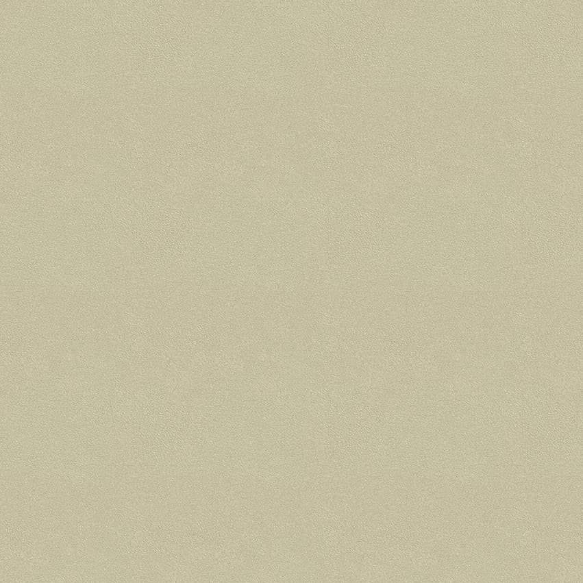 colour-choice_1056097_lowres