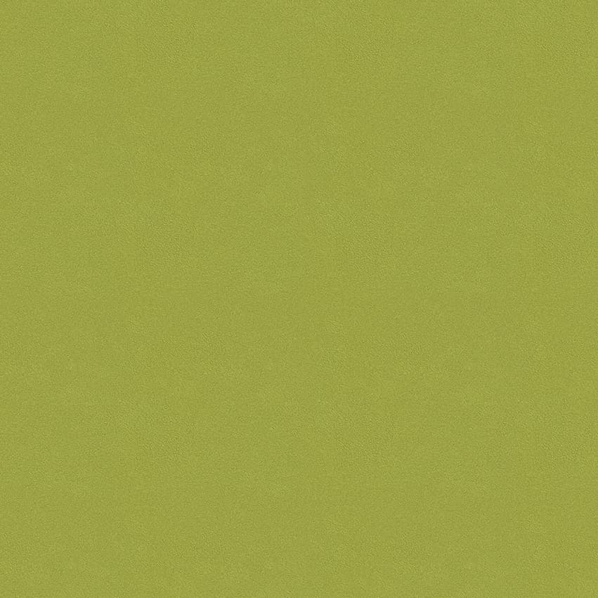 colour-choice_1056098_lowres