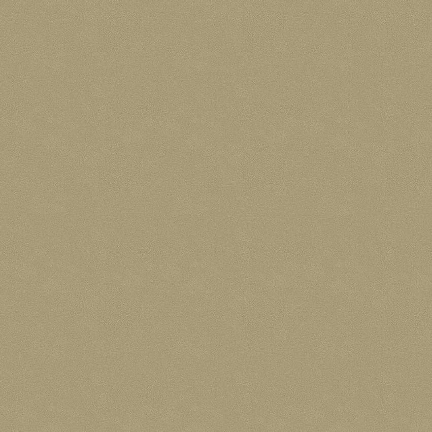 colour-choice_1056129_lowres