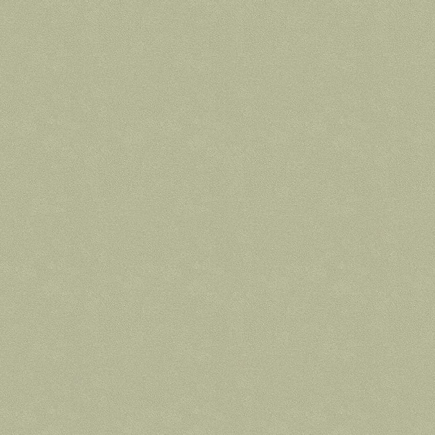 colour-choice_1056131_lowres