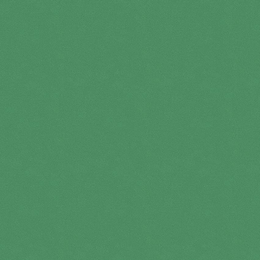 colour-choice_1056132_lowres