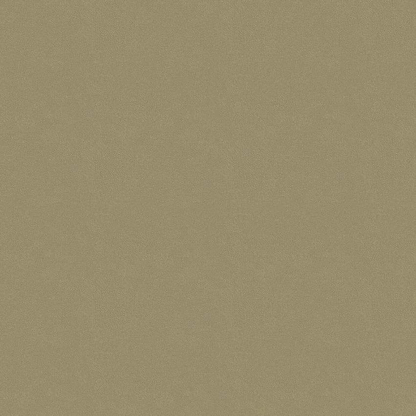 colour-choice_1056137_lowres