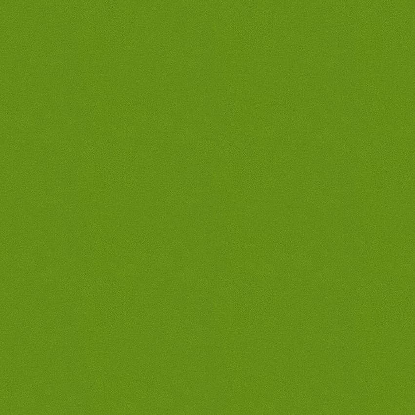 colour-choice_1056138_lowres