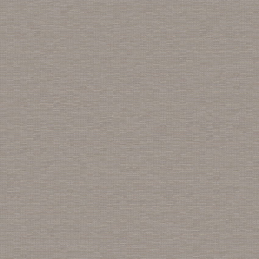dash_253305_lowres