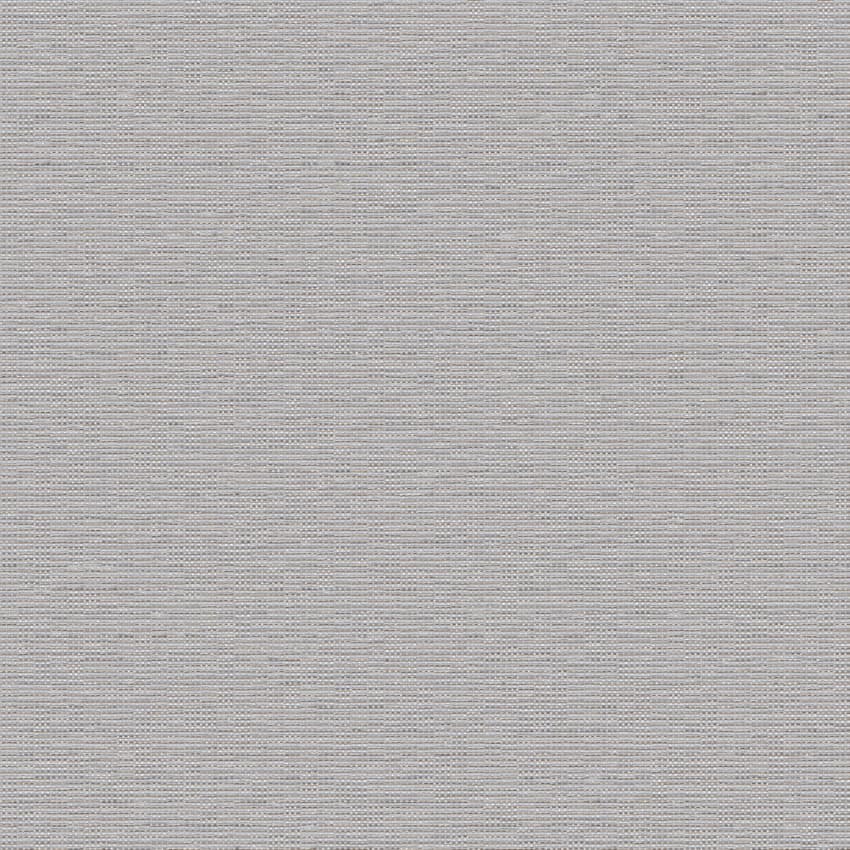 dash_253303_lowres