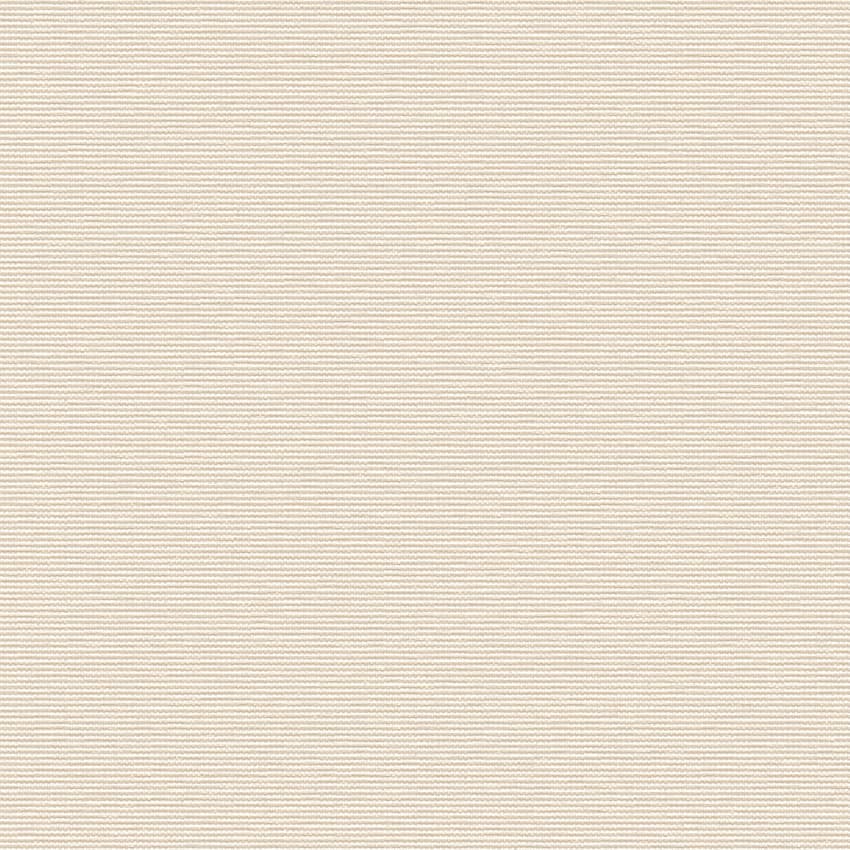 dash_253308_lowres