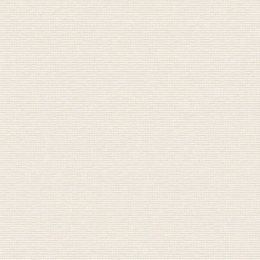 dash_253309_lowres