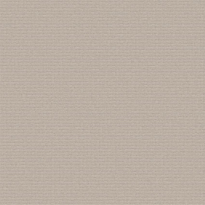 dash_253314_lowres
