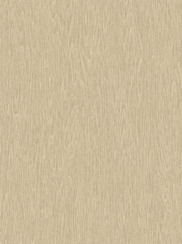 dunas_111410_lowres