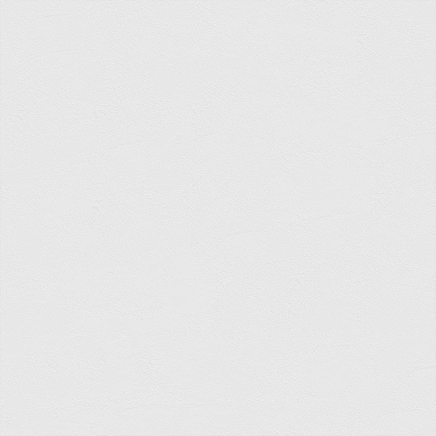 earthprint_112101_lowres