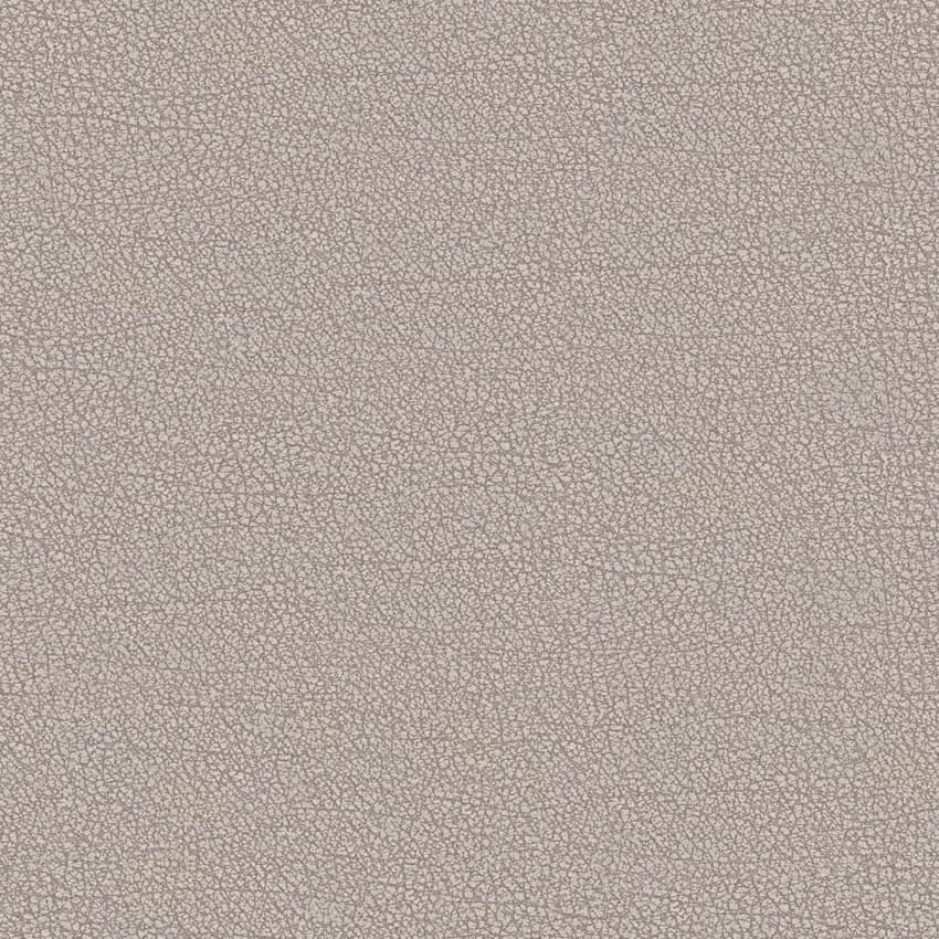 fenda_261805_lowres