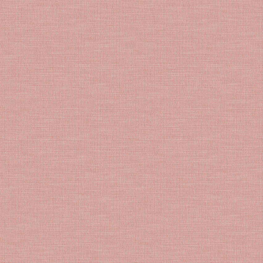 swan_807102_lowres
