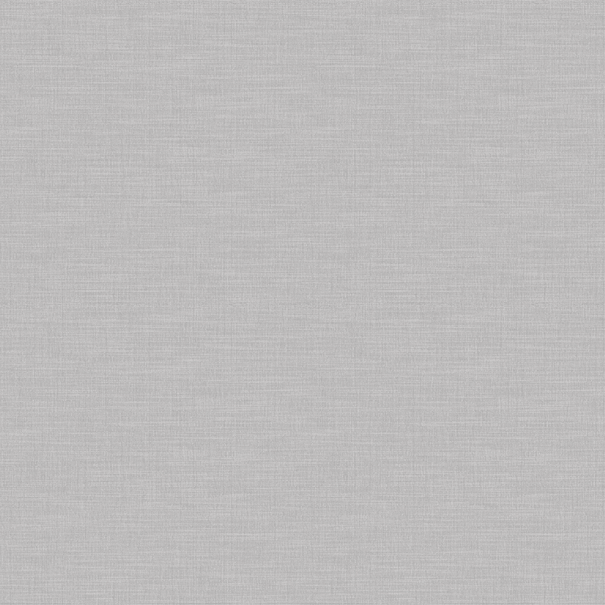 swan_807105_lowres