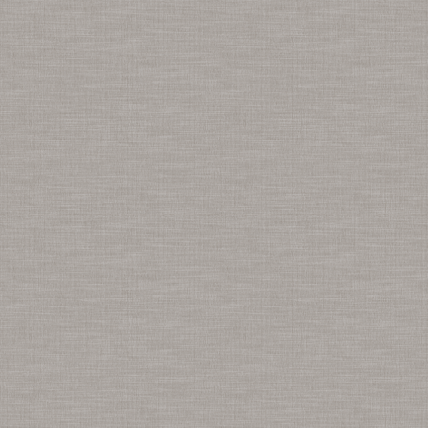swan_807107_lowres