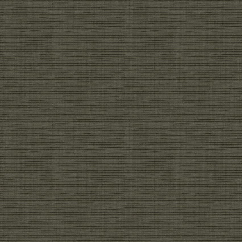 ketoy_108006_lowres