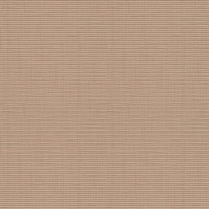 ketoy_108007_lowres