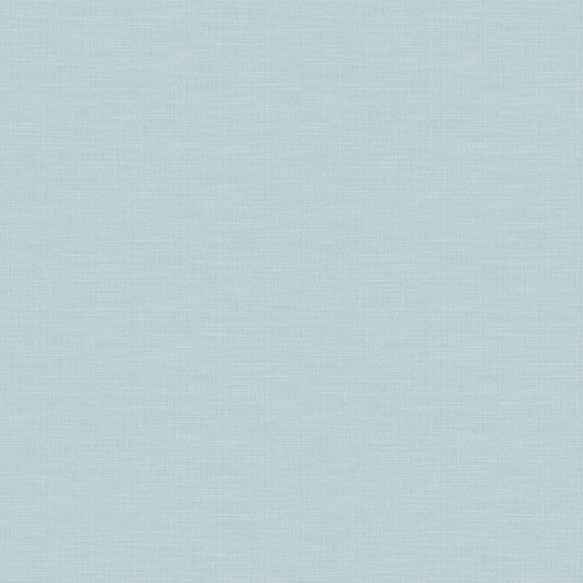 swan_807113_lowres