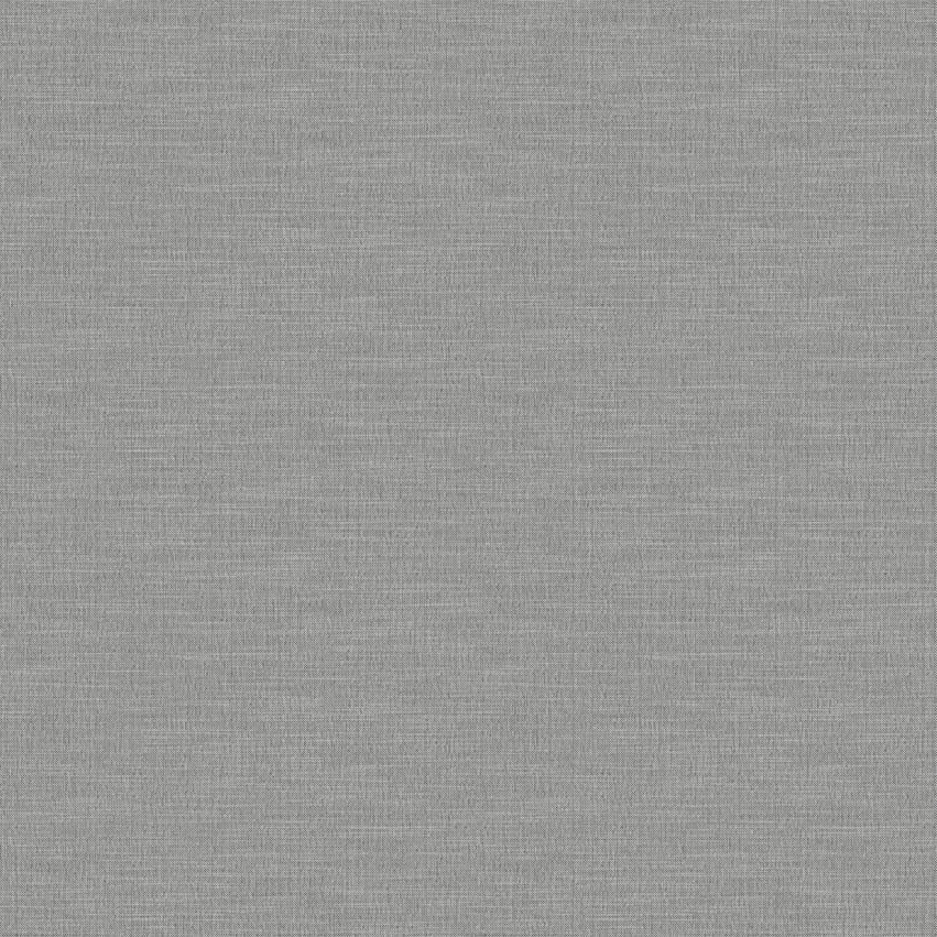 swan_807114_lowres