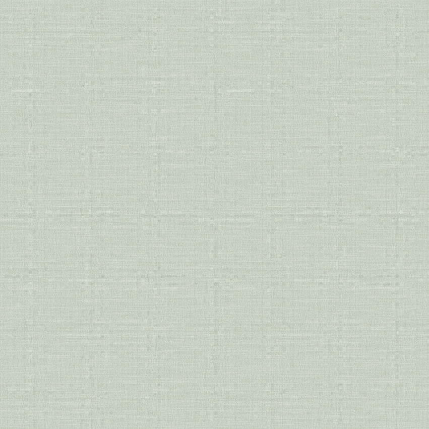 swan_807109_lowres