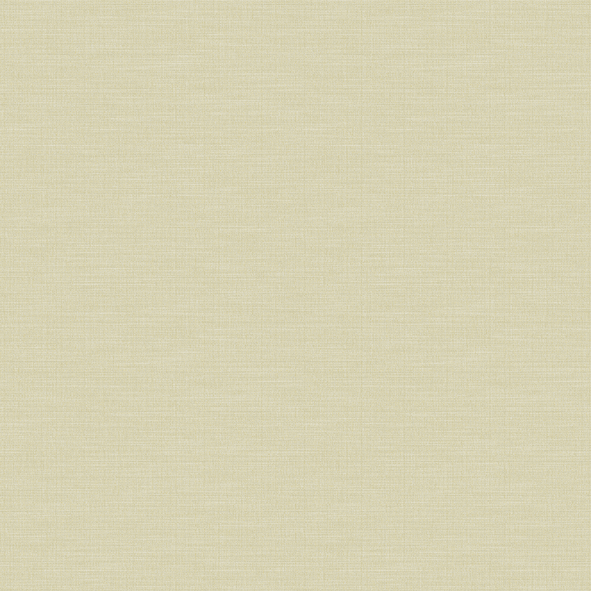 swan_807110_lowres