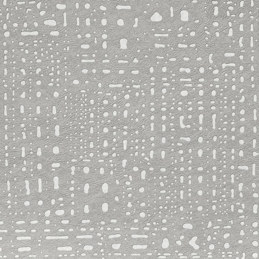 maestro_261654_lowres
