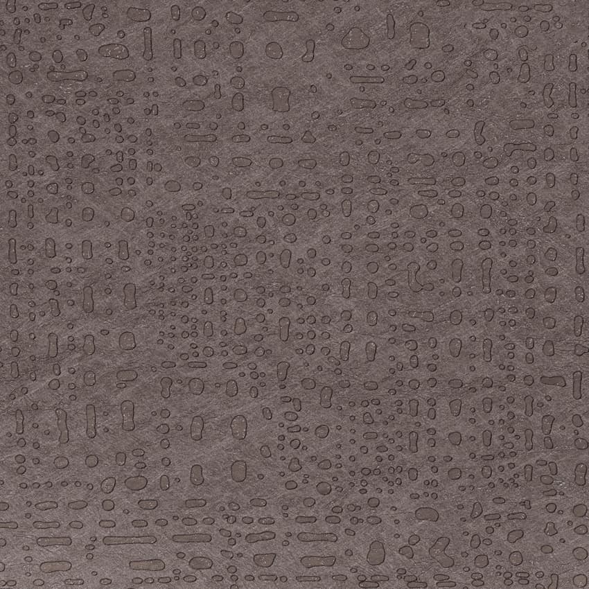 maestro_261658_lowres