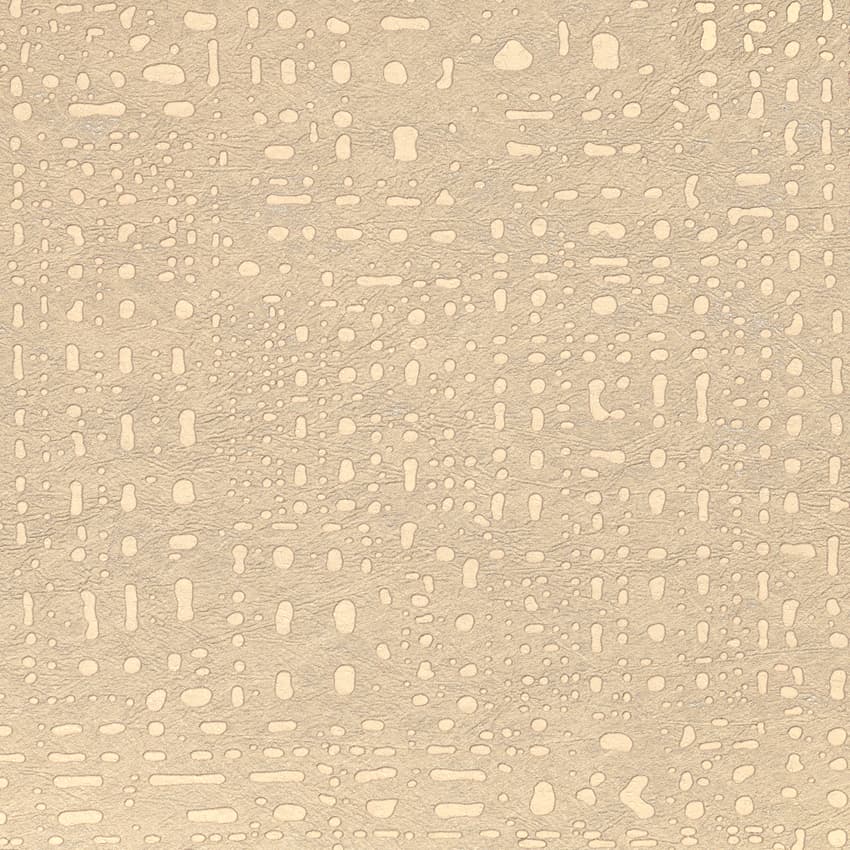 maestro_261652_lowres