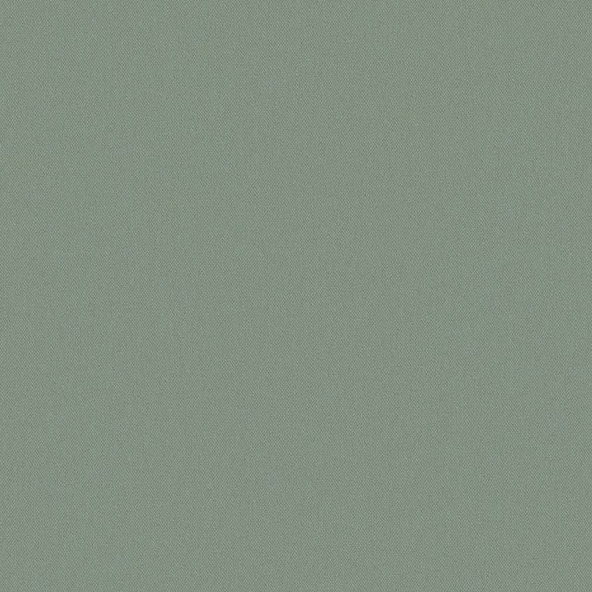 albertprotect_110303_lowres