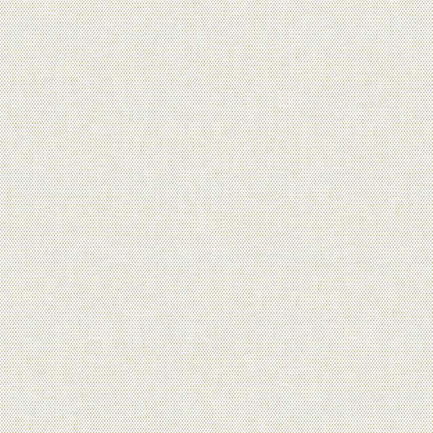 meteor_254904_lowres