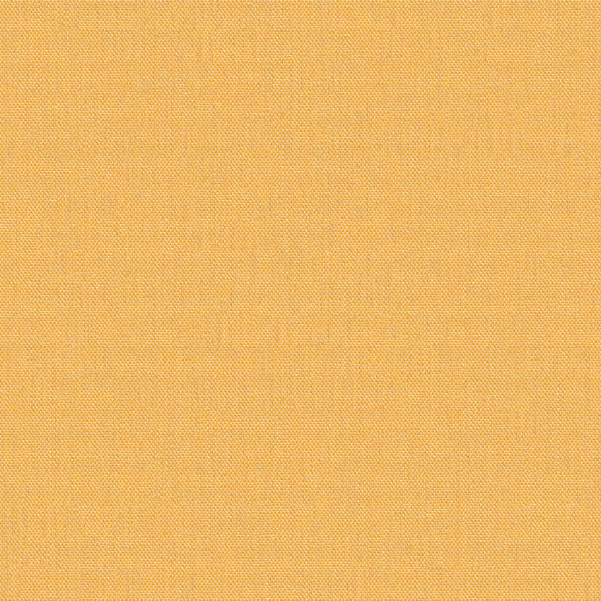 meteor_254910_lowres