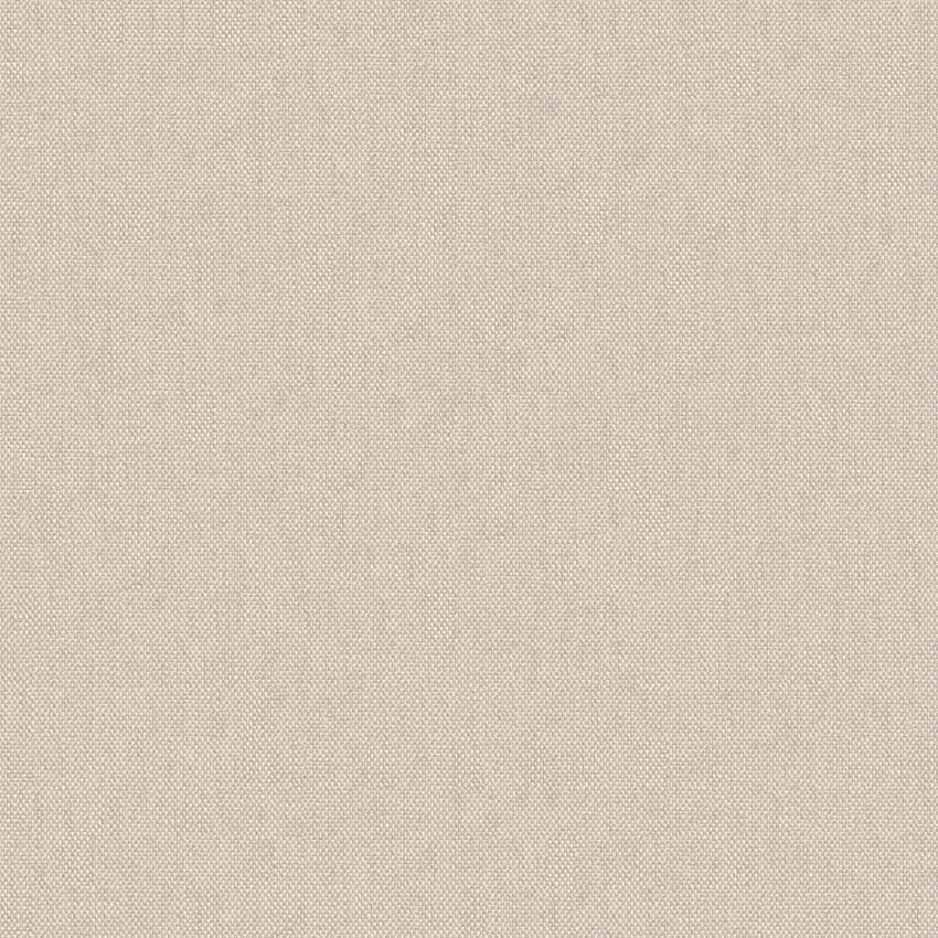 meteor_254908_lowres