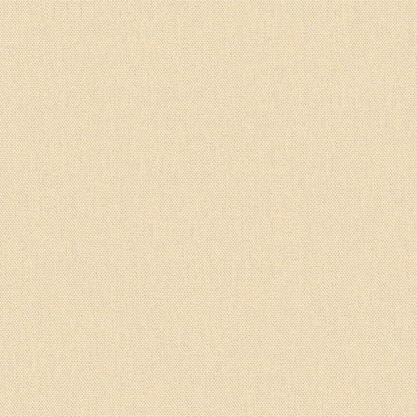 meteor_254907_lowres