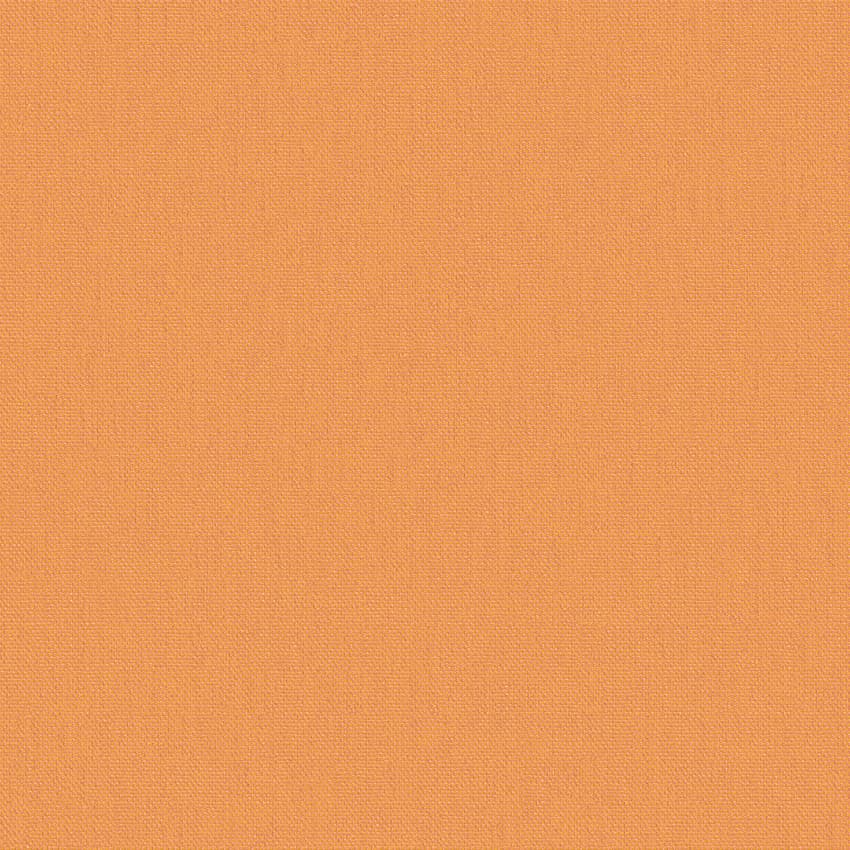 meteor_254914_lowres