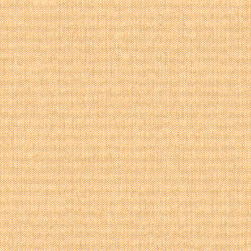 meteor_254911_lowres