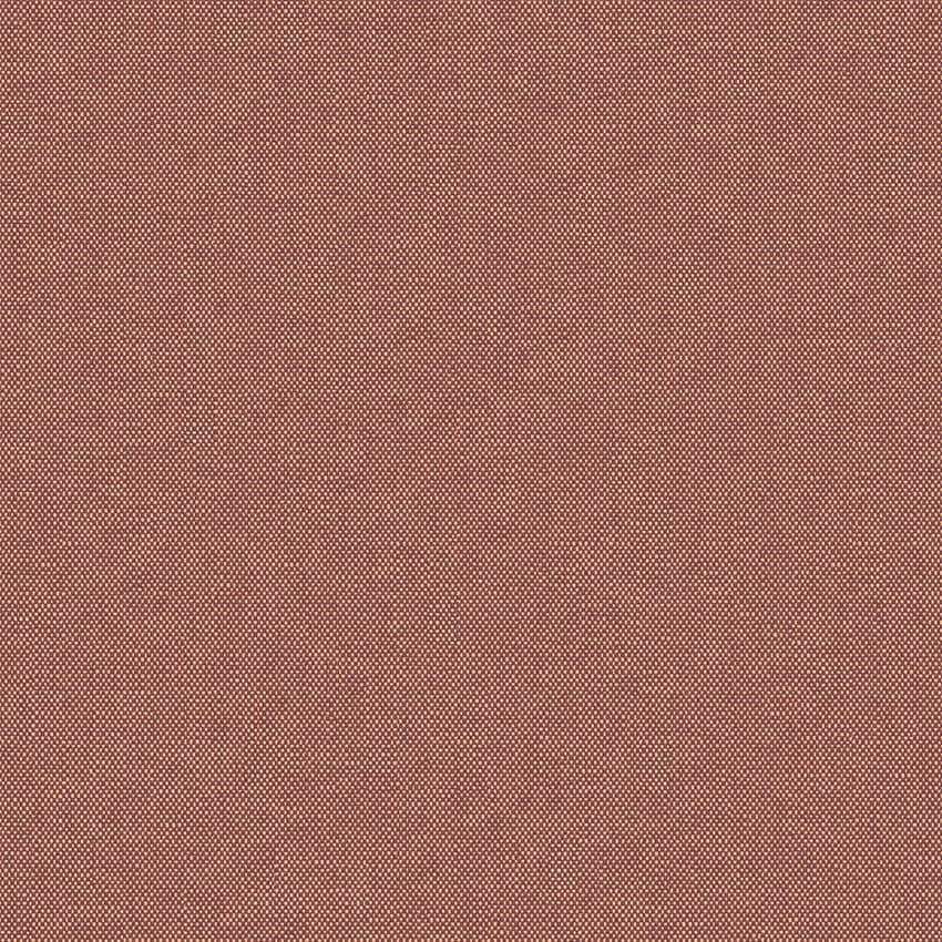 meteor_254919_lowres