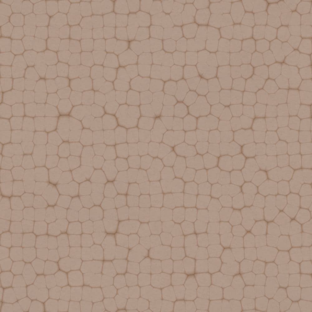 01in_Specular