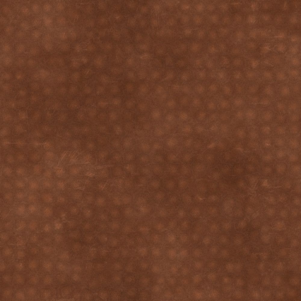 02_diffuse_skp