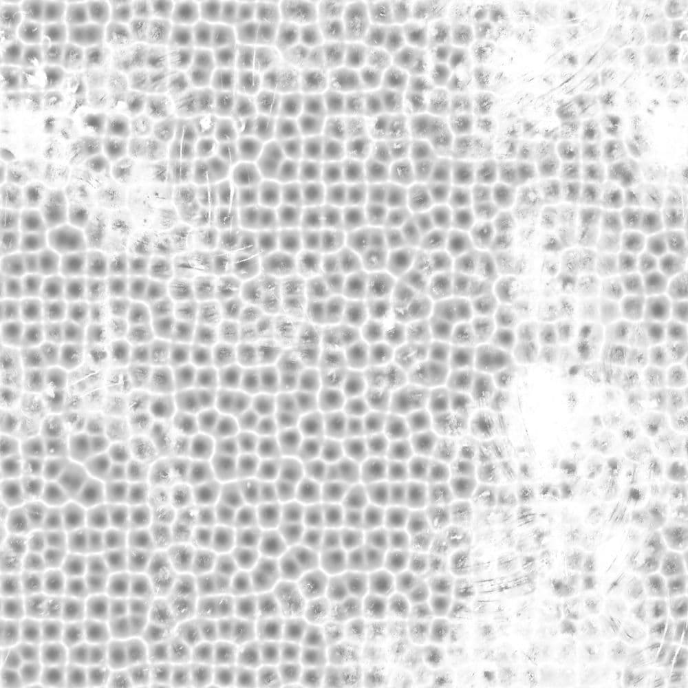 14_20_Occlusion